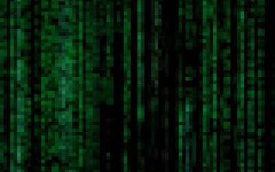 The Effects of Cybercrime