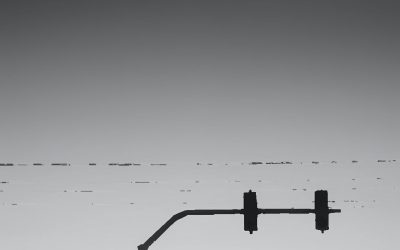 Is Markham the Next Victim of Unchecked Urban Growth?