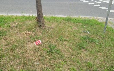 Tracking Trash – Using GIS to Promote Suburban Sustainability in Durham Region